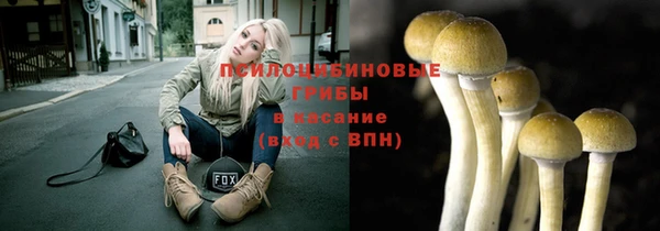 амф Арсеньев
